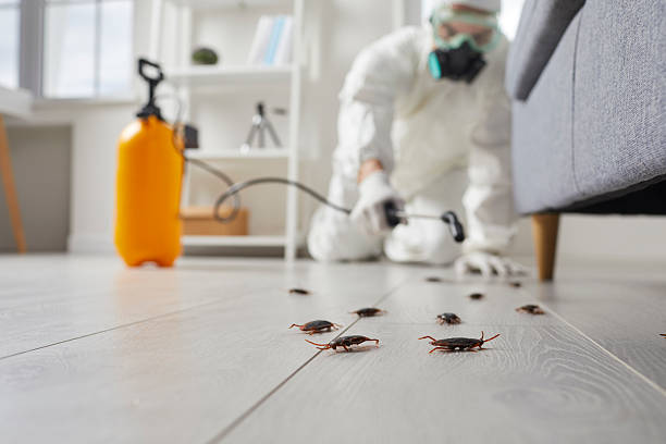 Trusted Fumigation Services service in Rainbow City, AL - Nex Pest Control
