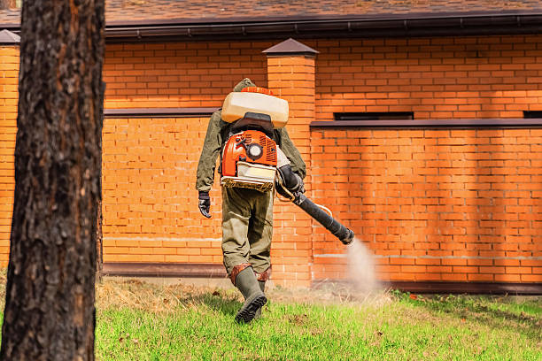 Trusted Emergency Pest Control service in Rainbow City, AL - Nex Pest Control